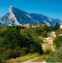 Les montagnes de la Sardaigne.