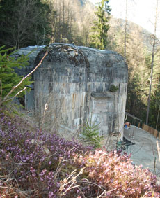 Le Bunker dans la forêt