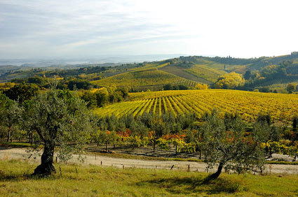 Paysage en Chianti