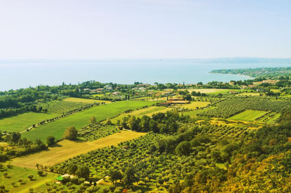 Paysage de Franciacorta