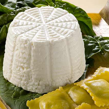 Ricotta