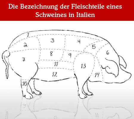 Schwein