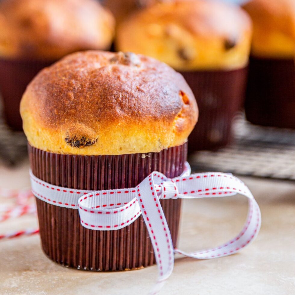 Stage Mini Panettone