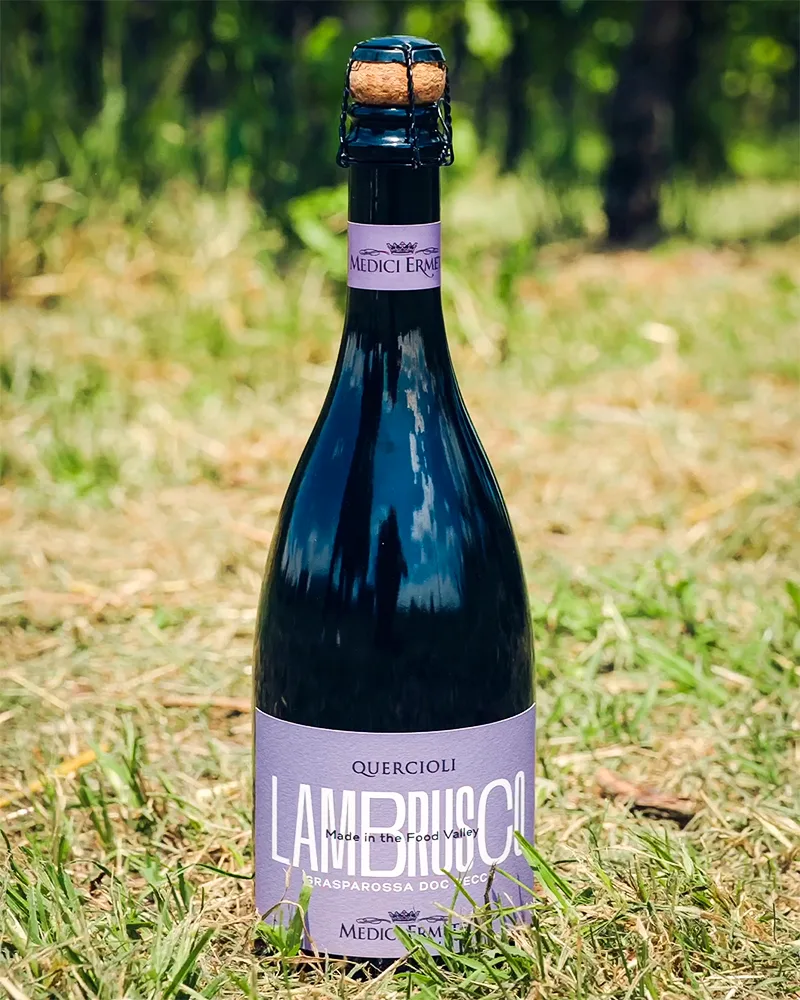 Lambrusco Grasparossa DOC - Sec