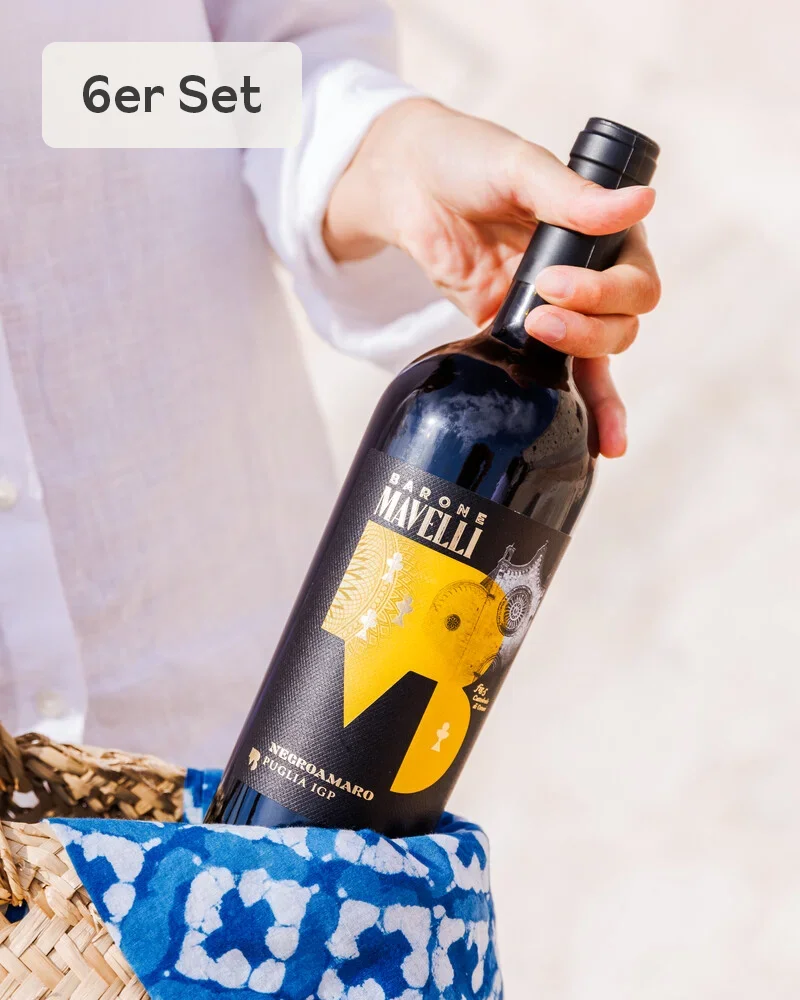 Negroamaro des Pouilles IGP - vin rouge, lot de 6