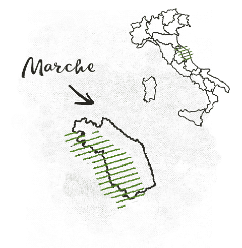 Marche