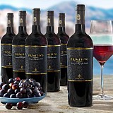 Offerta promozionale 6 bottiglie Primitivo Salento IGT