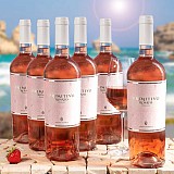 Primitivo Rose IGT Puglia 6 bouteilles