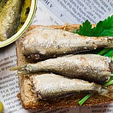 Sardine all'olio di oliva