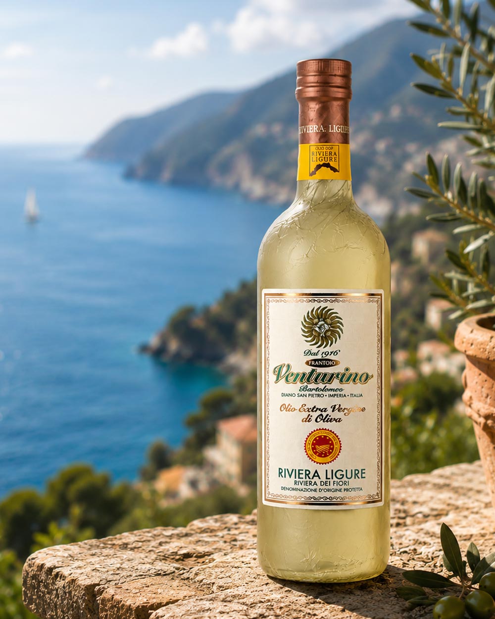 Cultivar Taggiasca - huile d'olive douce