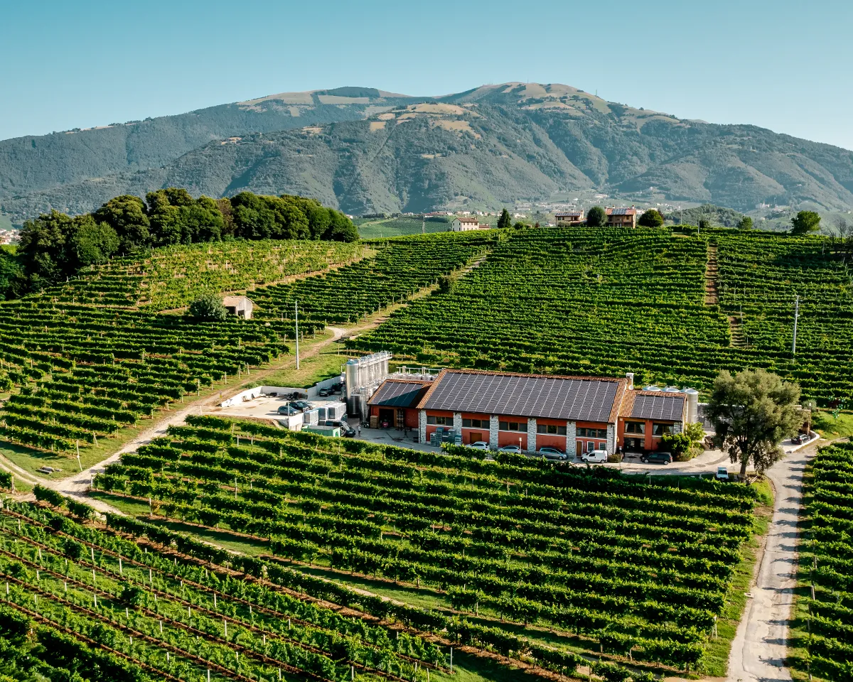 Drusian Winery Conegliano Valdobbiadene